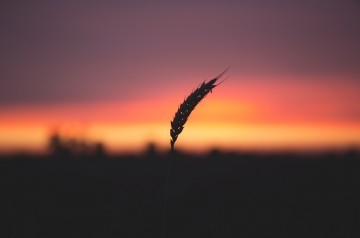 ज़िन्दगी एक हसीन ख़्वाब है