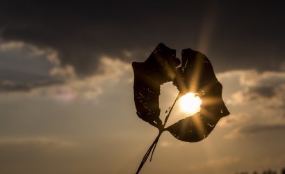 तुझसे ही हर सुबह हो मेरी